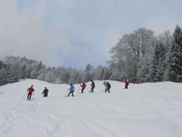 Schneeschuhwanderungen im Lammertal