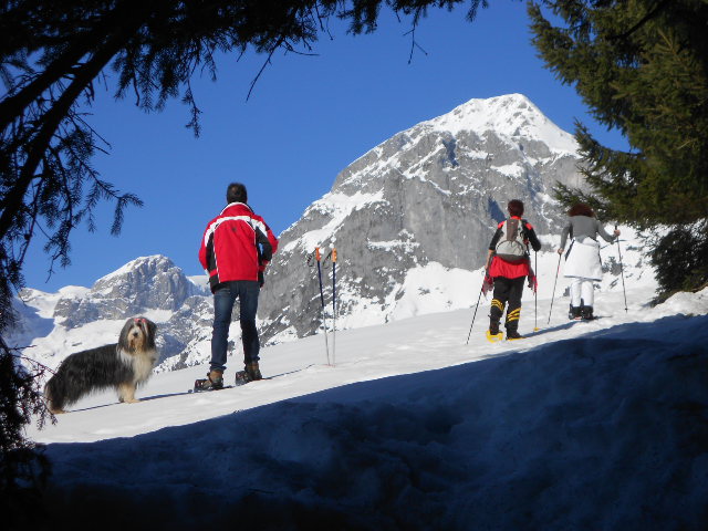 Sonnenschein im Lammertal