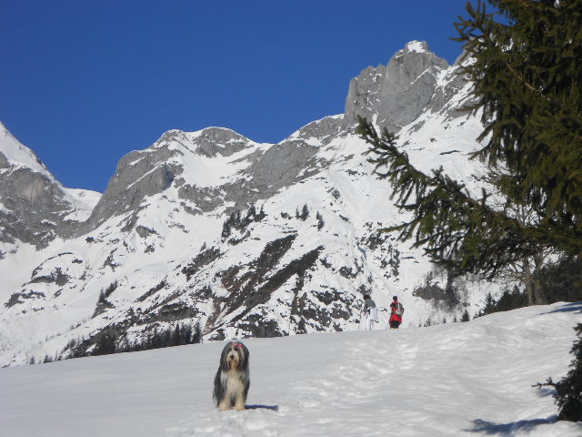 Winterurlaub im Lammertal