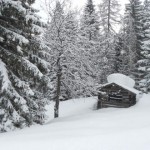 Verschneite Hütte im Wald