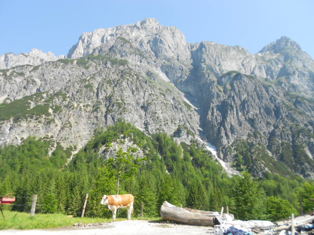 Wandern im Lammertal 