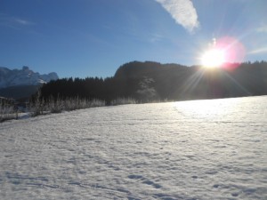 Winter im Lammertal