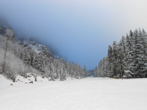 Winterlandschaft im Tennengau