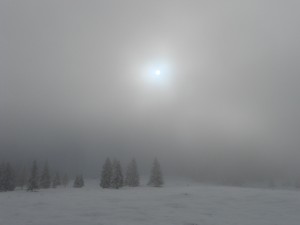 Nebeltag im Winter im Lammertal