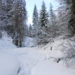 Winter im Lammertal erleben