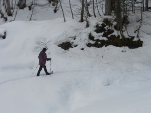 Schneeschuhwanderung im Tiefschnee