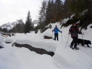 Winterwandern entlang eines Baches im Lammertal