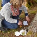 Geocache Schnitzeljagd zu Ostern im Berghotel Lämmerhof im Salzburger Land