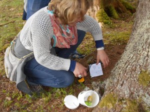 Geocache Schnitzeljagd zu Ostern im Berghotel Lämmerhof im Salzburger Land