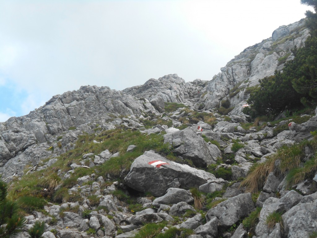 Steig auf den hohen Donnerkogel