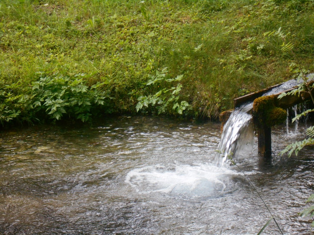 Lammerquellwasser