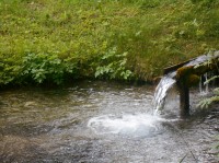 Angeln und Grillen bei den Lammertaler Fischteichen