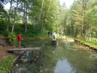 Angeln und Grillen bei den Lammertaler Fischteichen