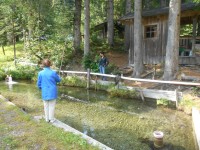 Angeln und Grillen bei den Lammertaler Fischteichen