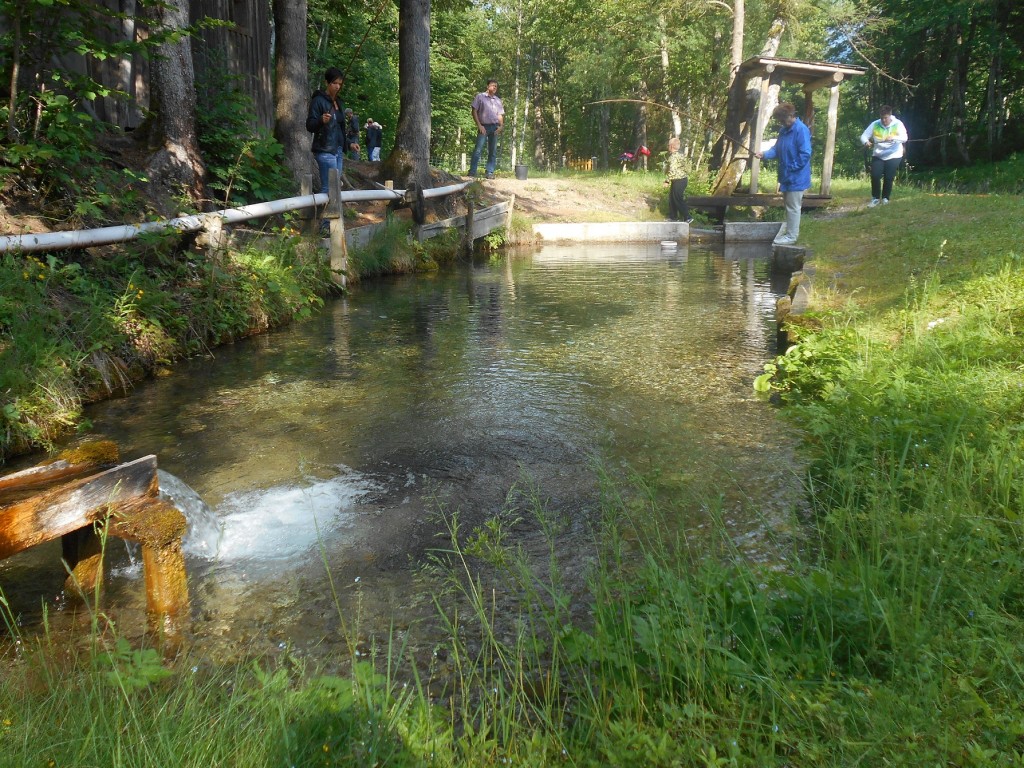 Lammerquellwasser, ideal für gute Forellen