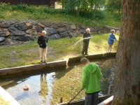 Angeln und Grillen bei den Lammertaler Fischteichen