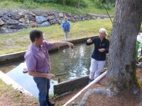 Angeln und Grillen bei den Lammertaler Fischteichen