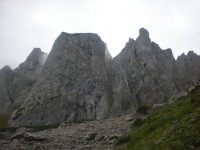 Blick ins Gosaukammgebirge