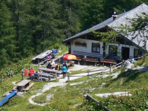 Karalm und Gsengalm am First in Abtenau Karkogel