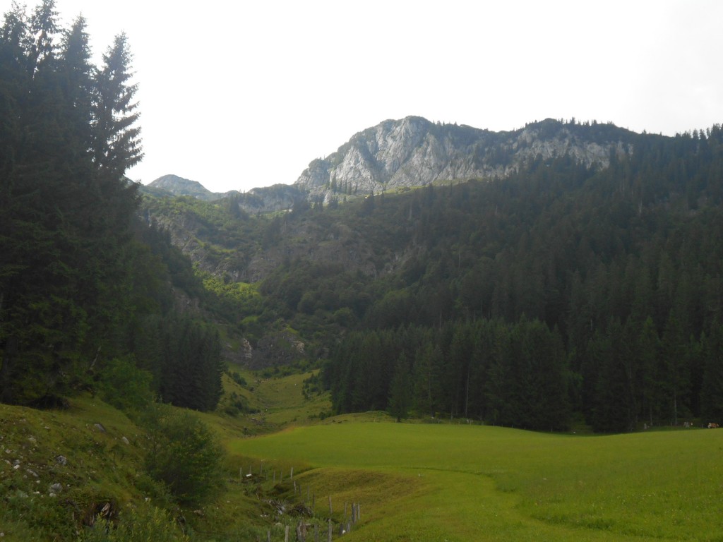 Blick auf die Königswand