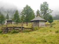 Kalenderwoche 29 almhüttenwanderung am Dienstag