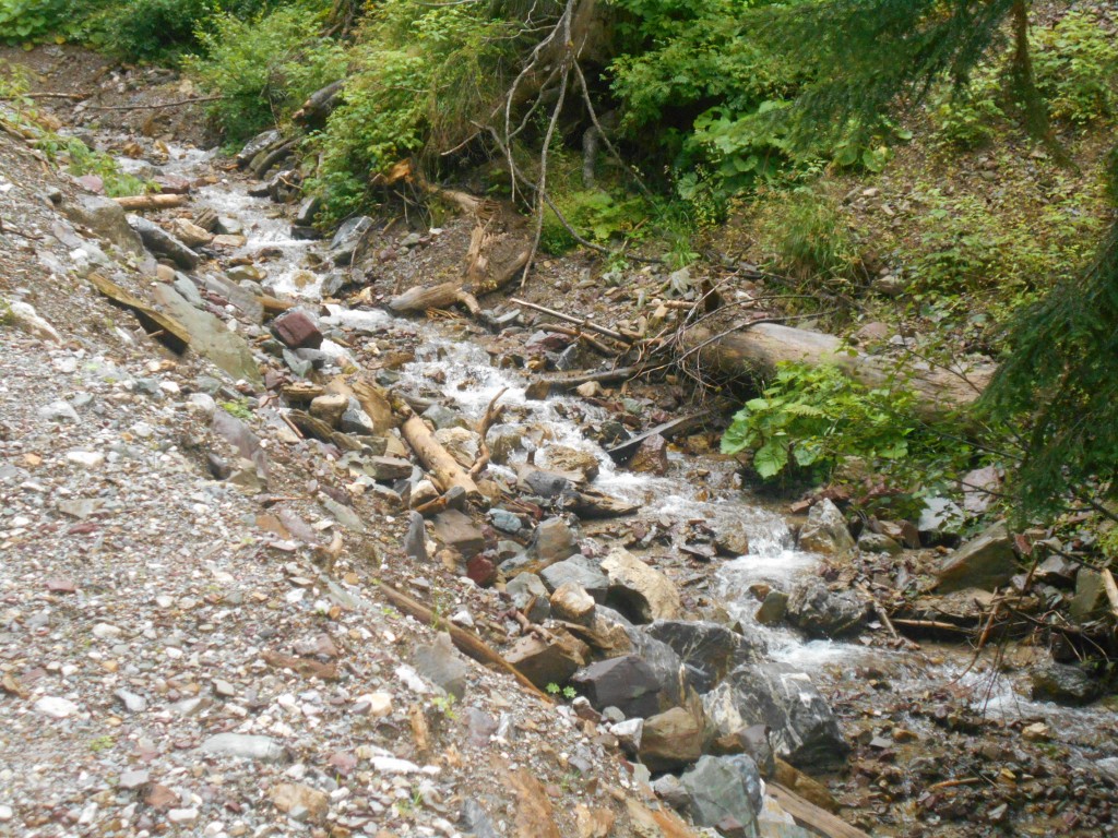 Almhüttenwanderung KW 29