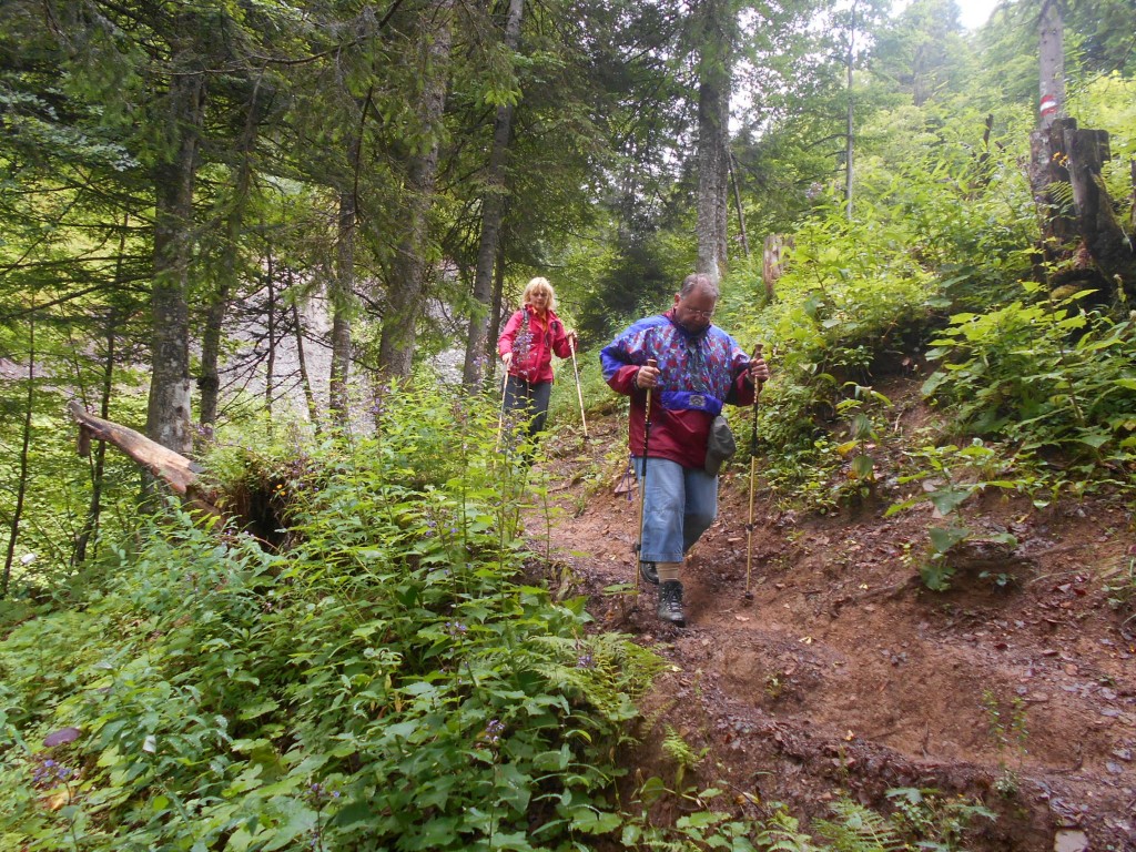 Almhüttenwanderung KW 29