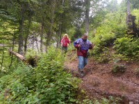 Kalenderwoche 29 almhüttenwanderung am Dienstag