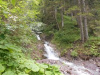 Kalenderwoche 29 almhüttenwanderung am Dienstag