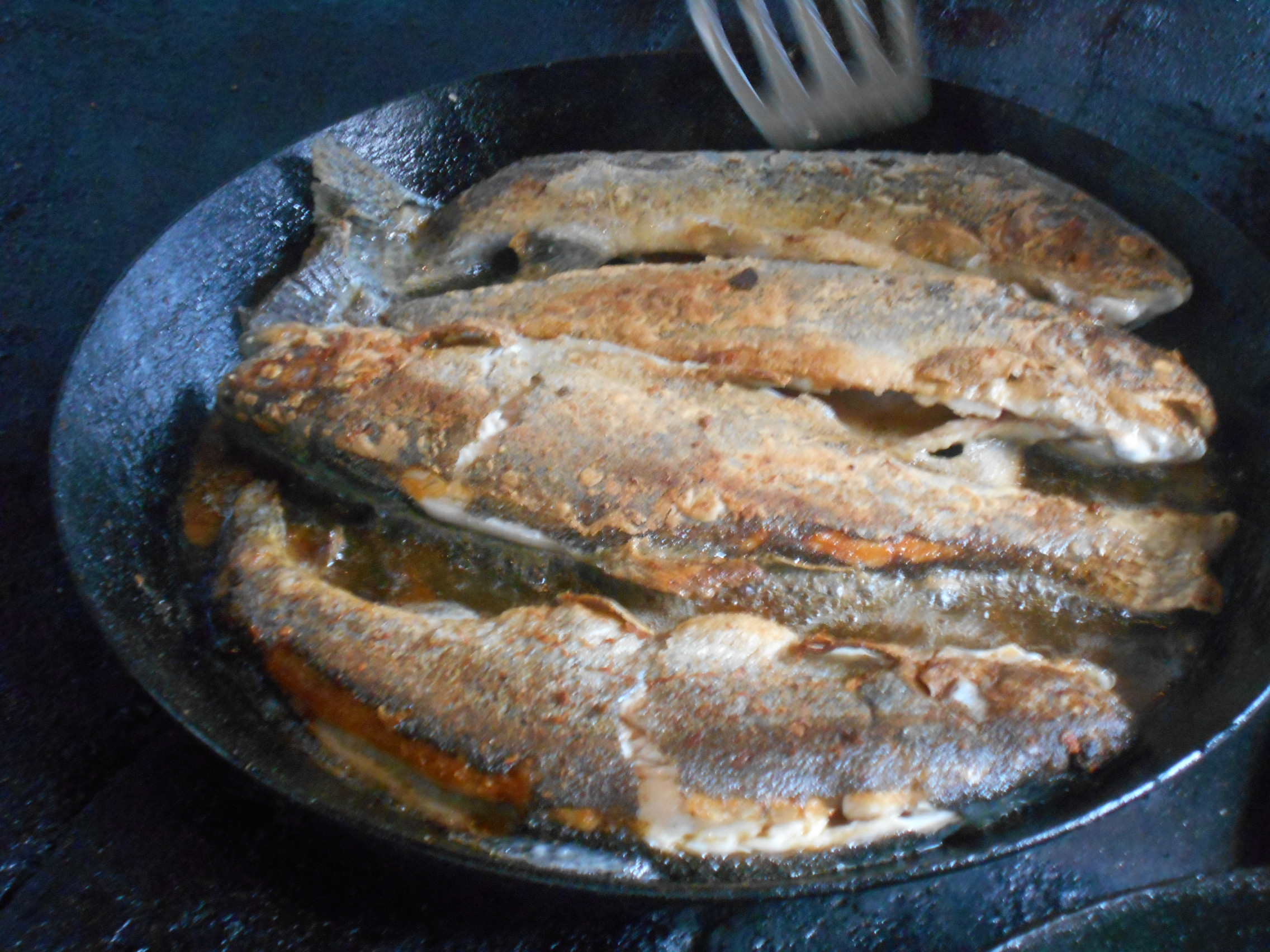 Die Forelle Müllerin - Rezept aus dem Salzburger Land