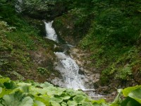 Schöberlbach - Wasserfall