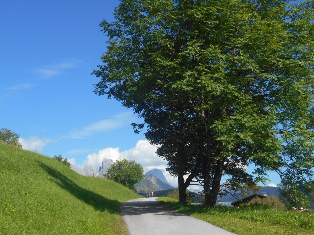 Das Lammertal im Frühling