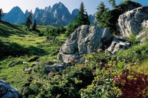 Herbstwanderung im Lammertal