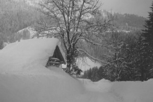 Alte Scheune vor dem Lämmerhof im Lammertal