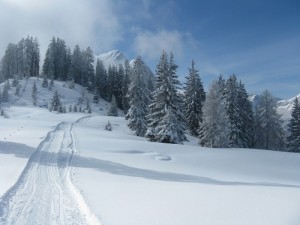 Gespurter Winterwanderweg auf die Ostpreußenhütte