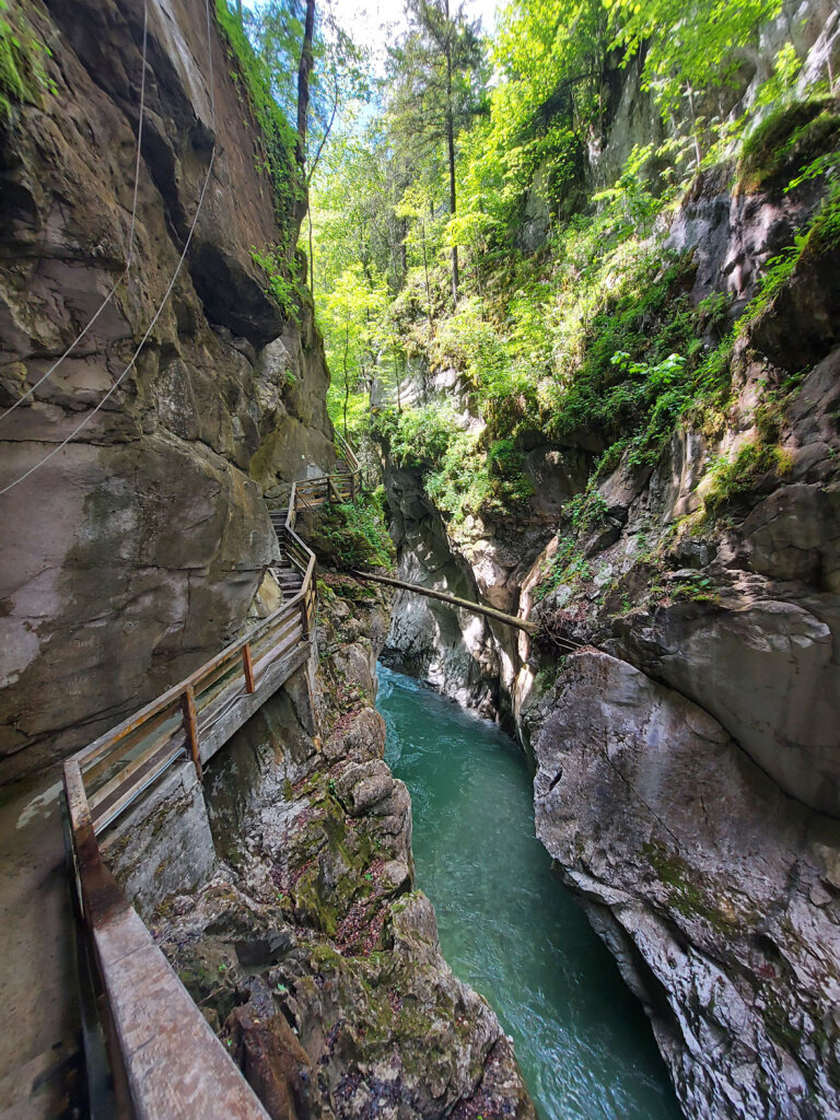 Viele Stufen führen hinunter zur Dunklen Klamm.