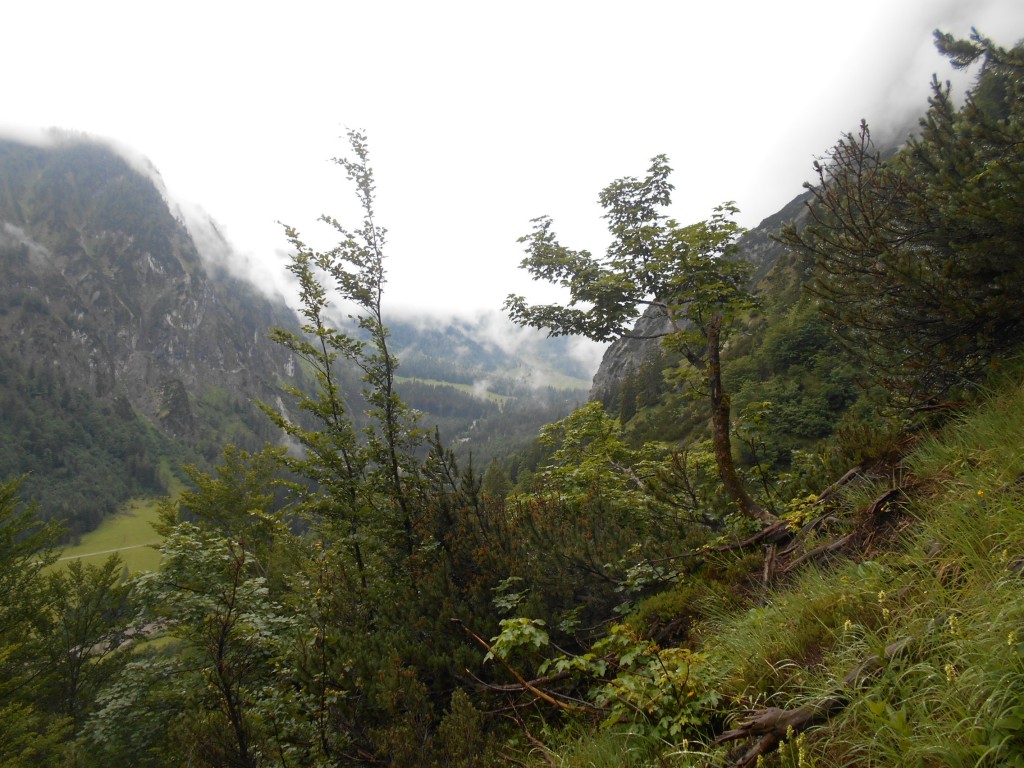 Blick hinein in die Aualm