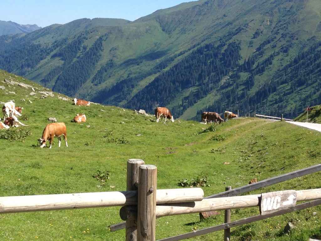 Ausblick von der Straße des Sölkpasses