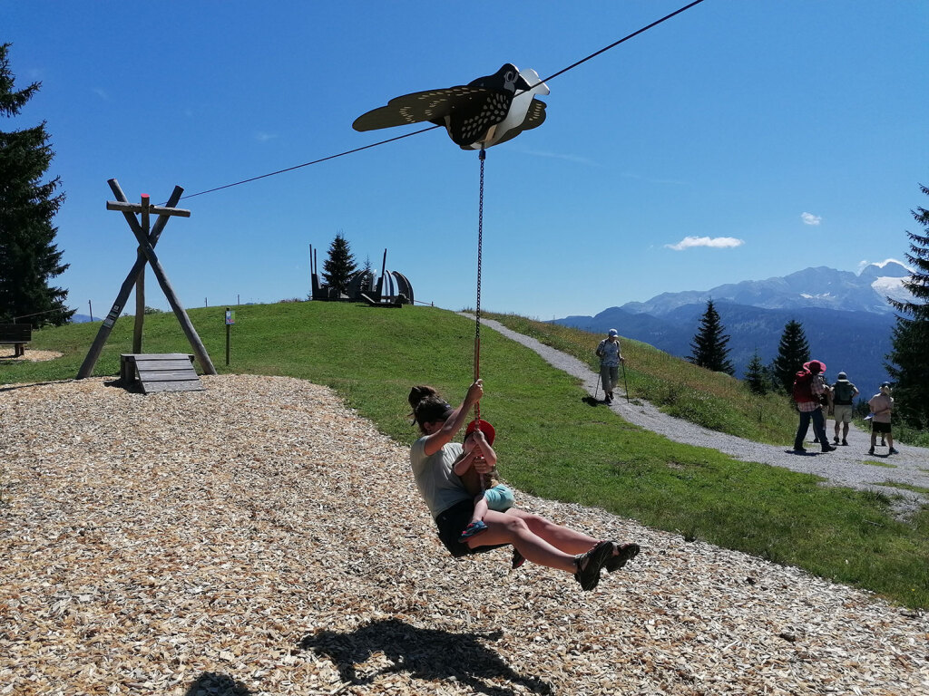 Spielstation Vogel