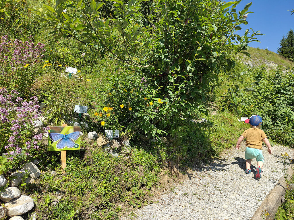 Alpenblumengarten Rußbach