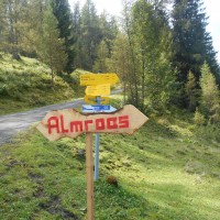 Almroas in St. Martin am Tennengebirge