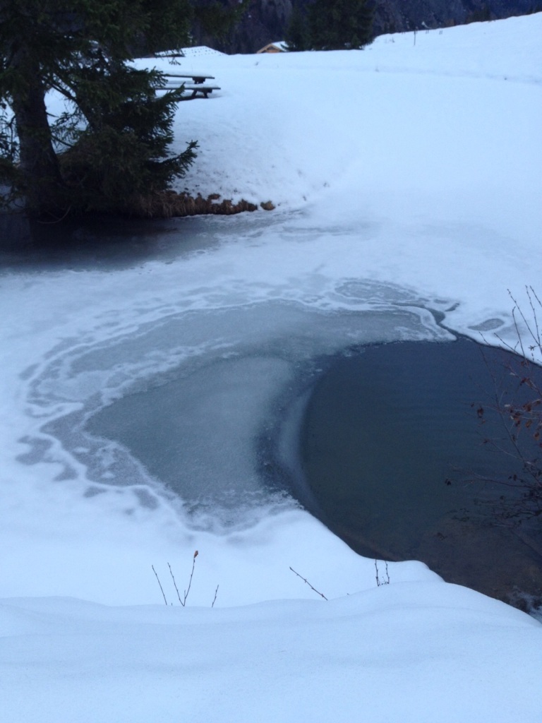 Fischteich in der Aualm im Lammertal