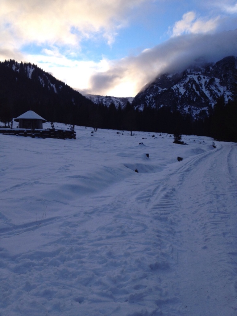 Weg in die Aualm im Lammertal