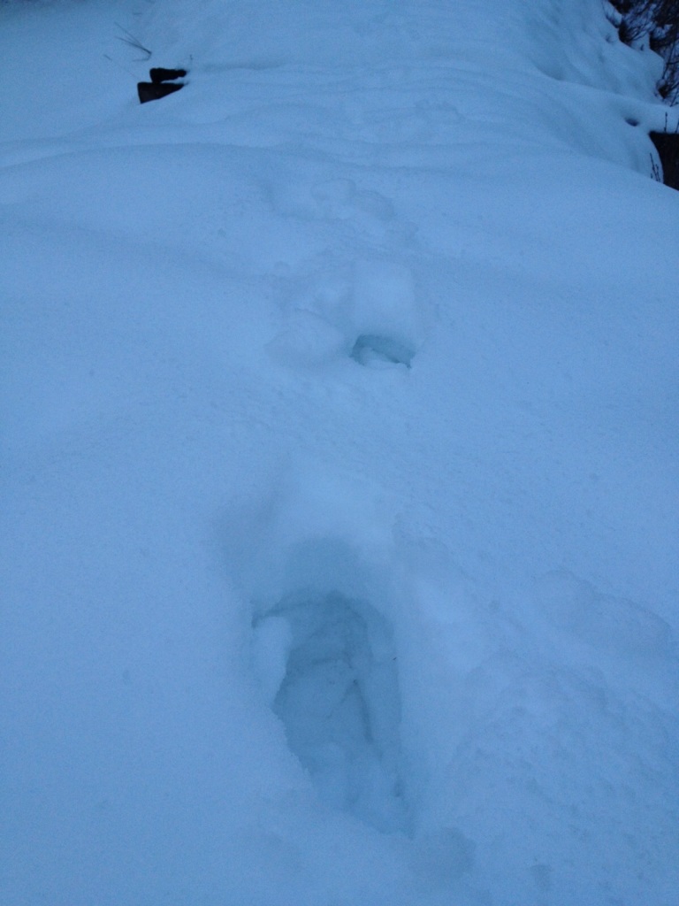 Schnee in der Aualm im Lammertal