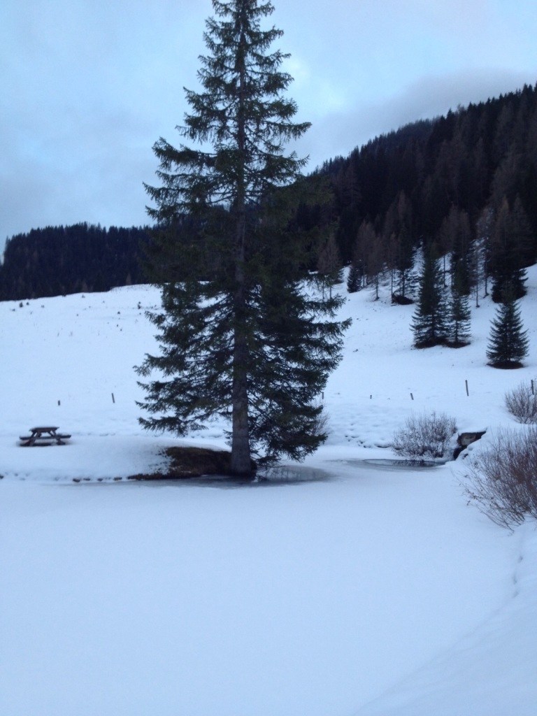 Neuschnee in der Aualm im Lammertal