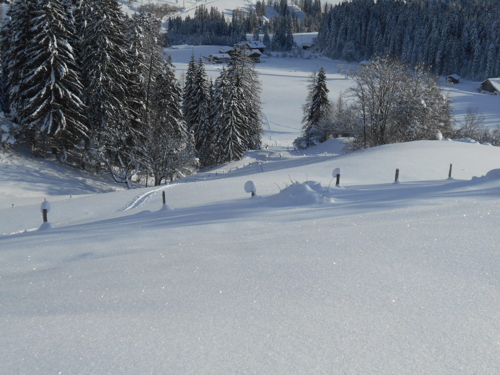 schneeschuhwanderung-2016-01-19-10