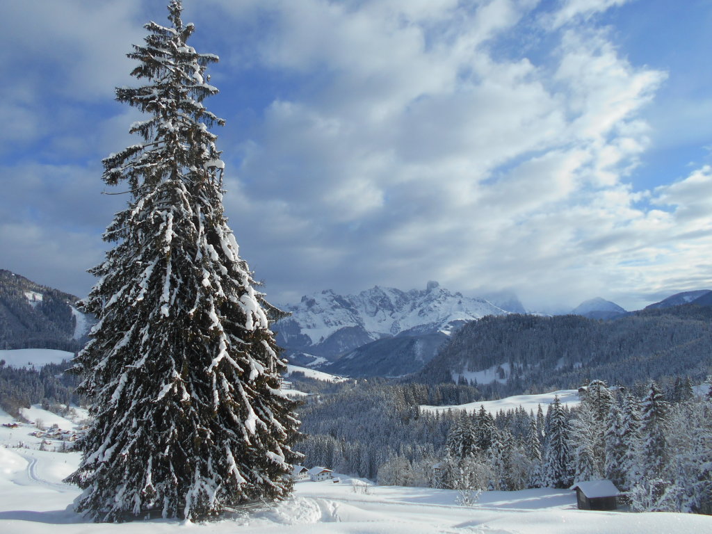 Blick auf den Gosaukamm im Winter