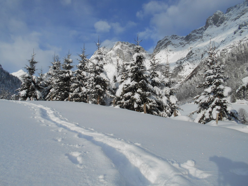 Schneeschuhwanderungen im Lammertal