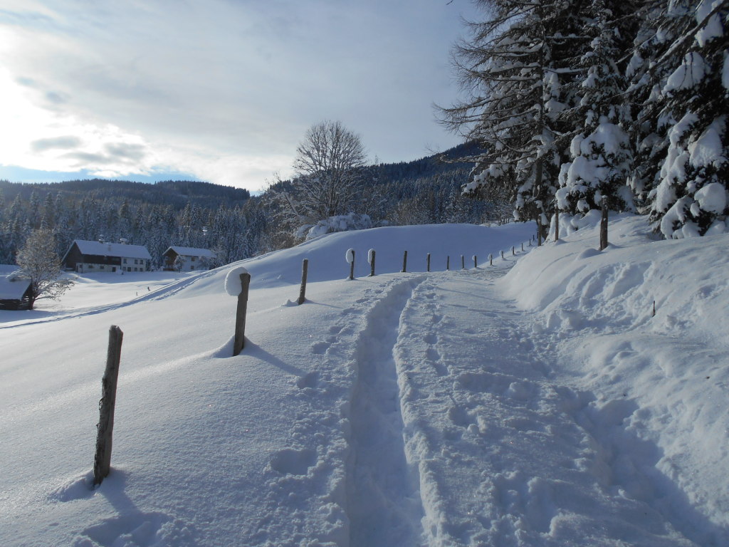 Schneeschuhwanderung zur Spießalm im Lammertal