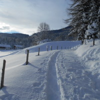 Schneeschuhwanderung zur Spießalm im Lammertal